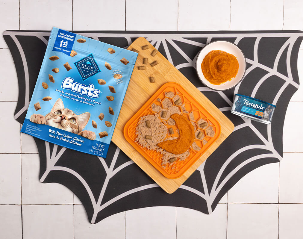 The recipe on a spider web placemat w/a lick mat, a half moon-shaped bowl, a spatula, & a bowl of Tastefuls cat food