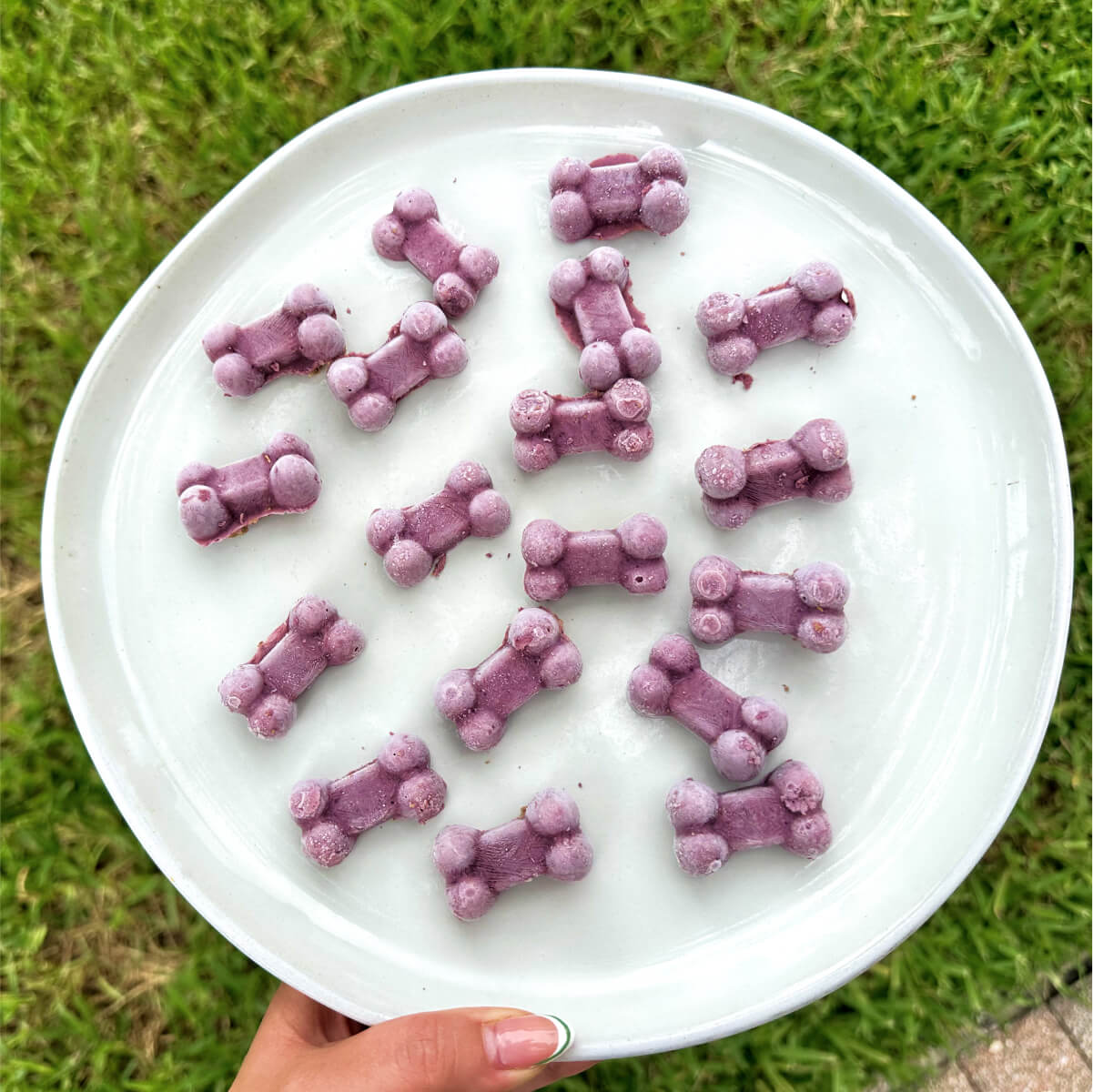 FrozenTreats in Plate