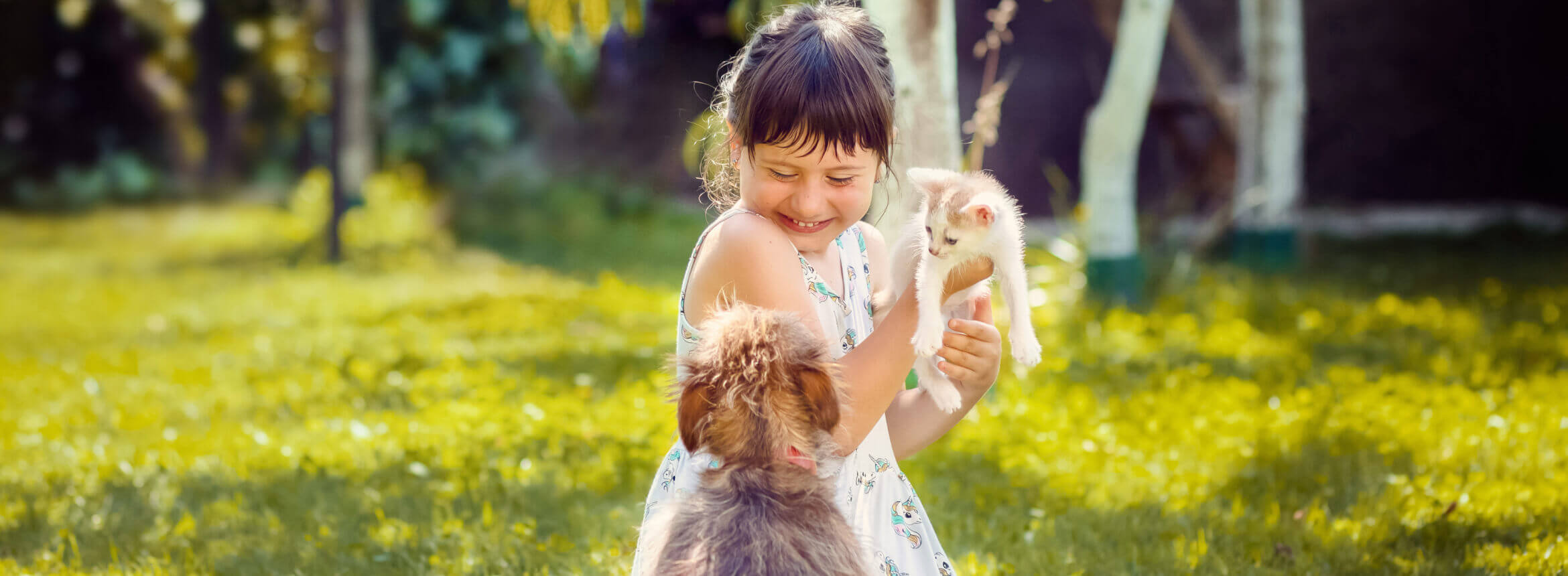 Small girl holding a cat 