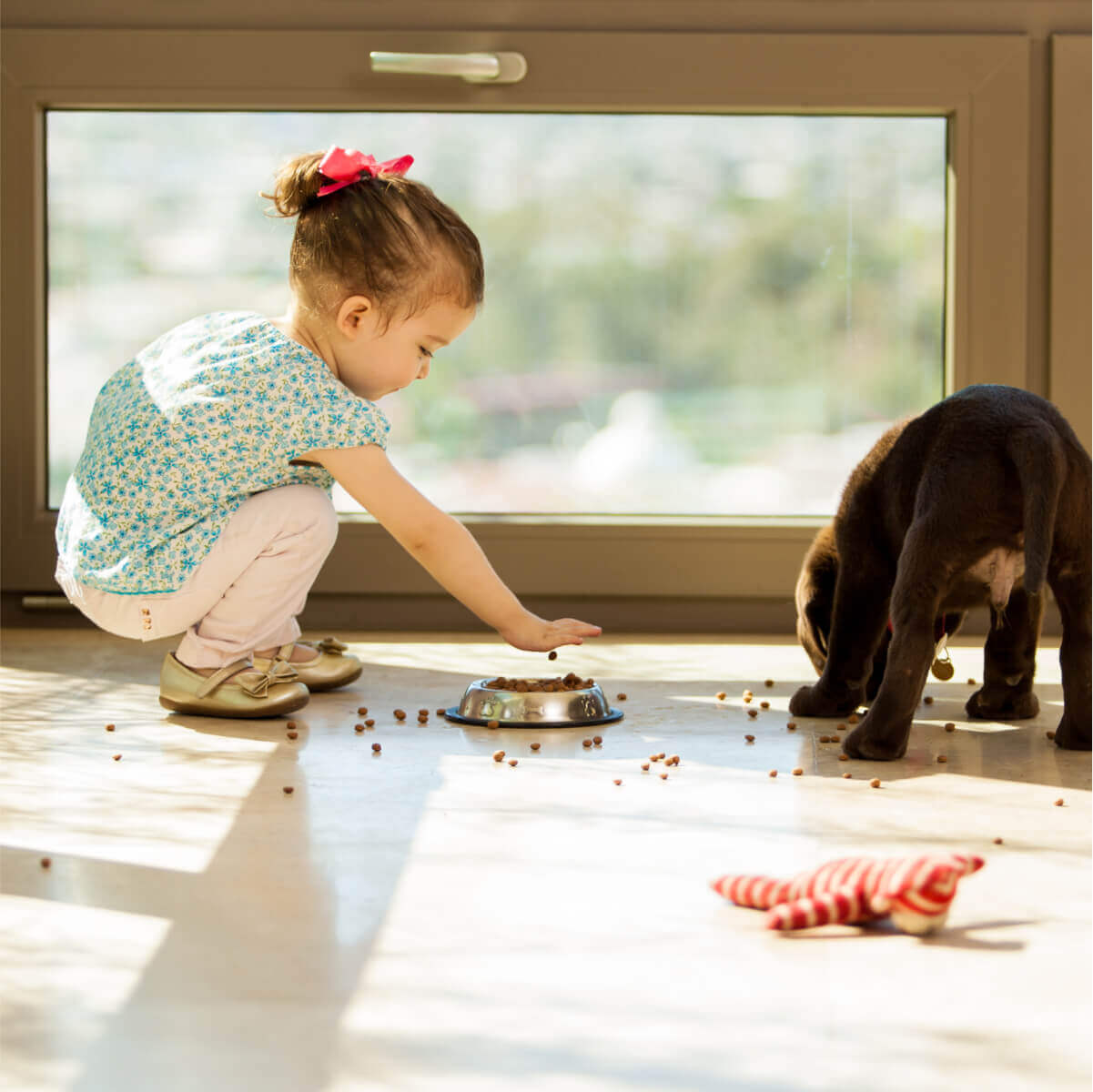 Small girl with her pet