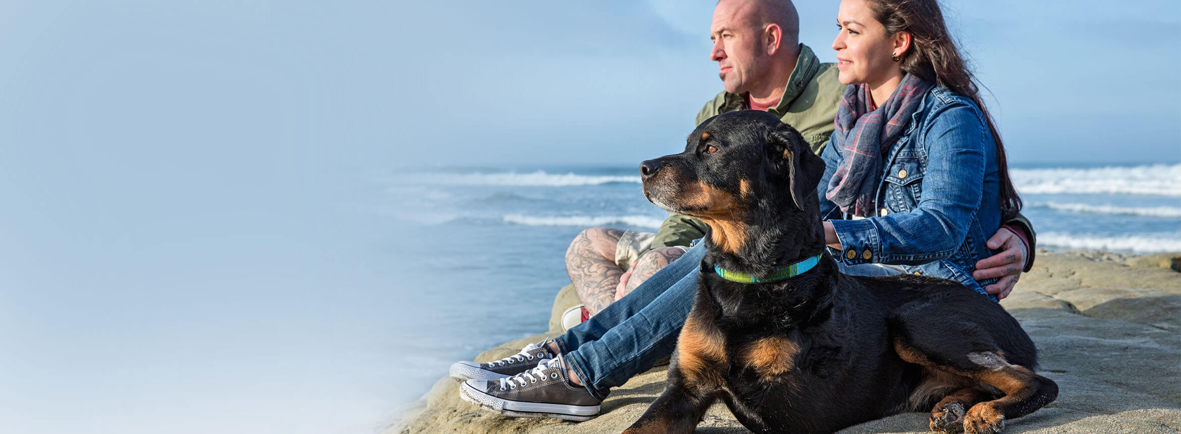 image of people at beach with dog