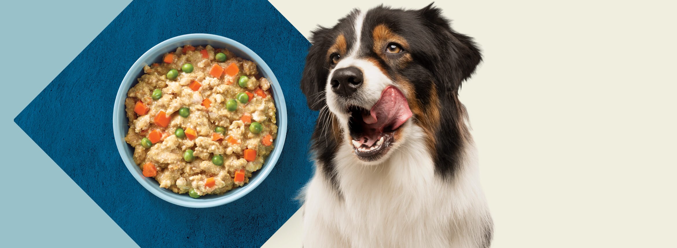 A brown-and-black dog is licking its mouth and looking longingly toward a bowl filled with fresh dog food.