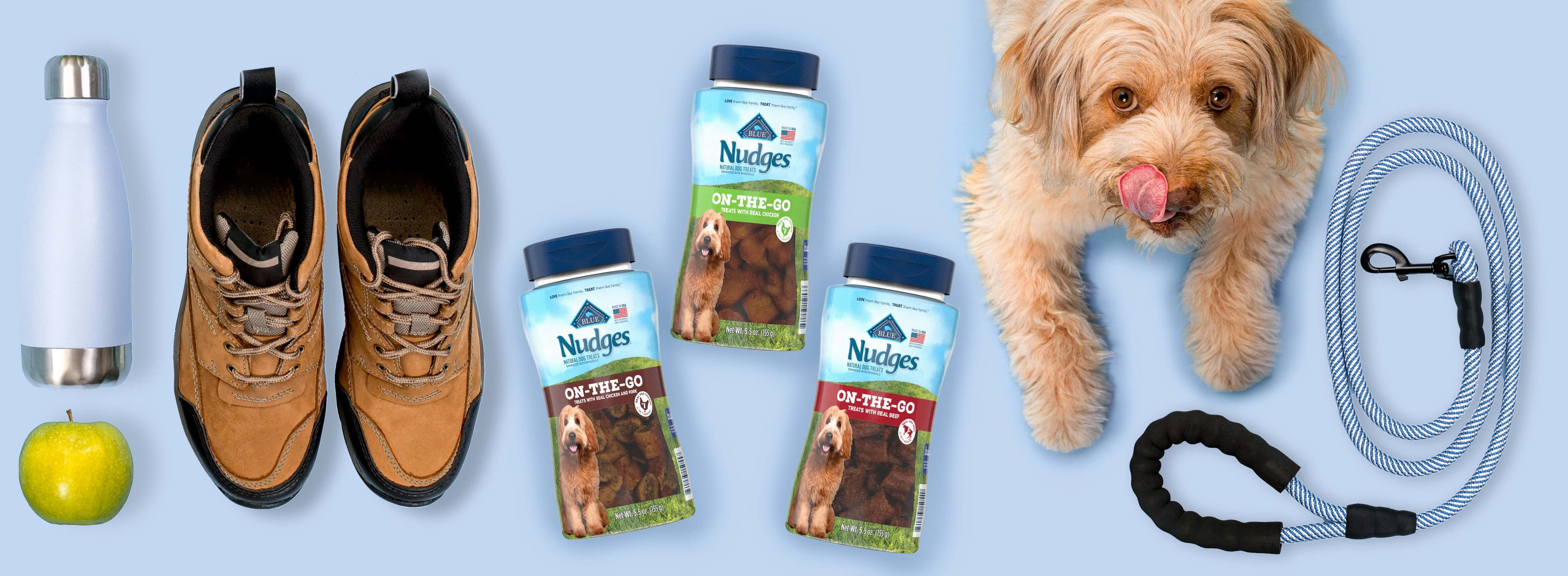 Dog, leash, boots, water bottle, apple, and Nudges treats set on a light blue background.