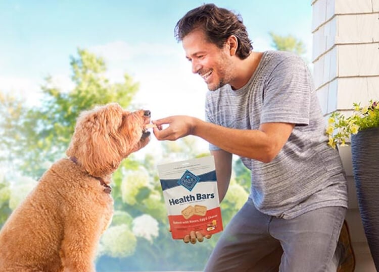 A man is smiling and feeding his dog a BLUE Health Bar treat on his front porch. He’s holding a bag of BLUE Health Bars. 