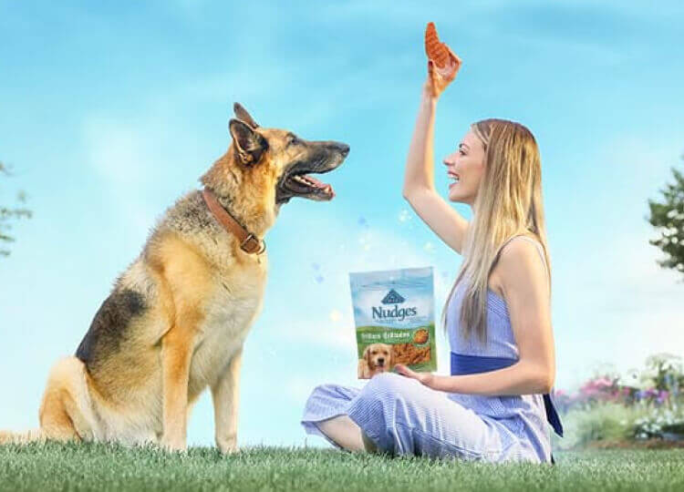 BLUE Meaty dog treats