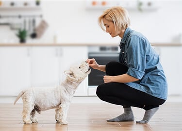 Woman kneeling on kitchen floor, giving a treat to her small white dog.