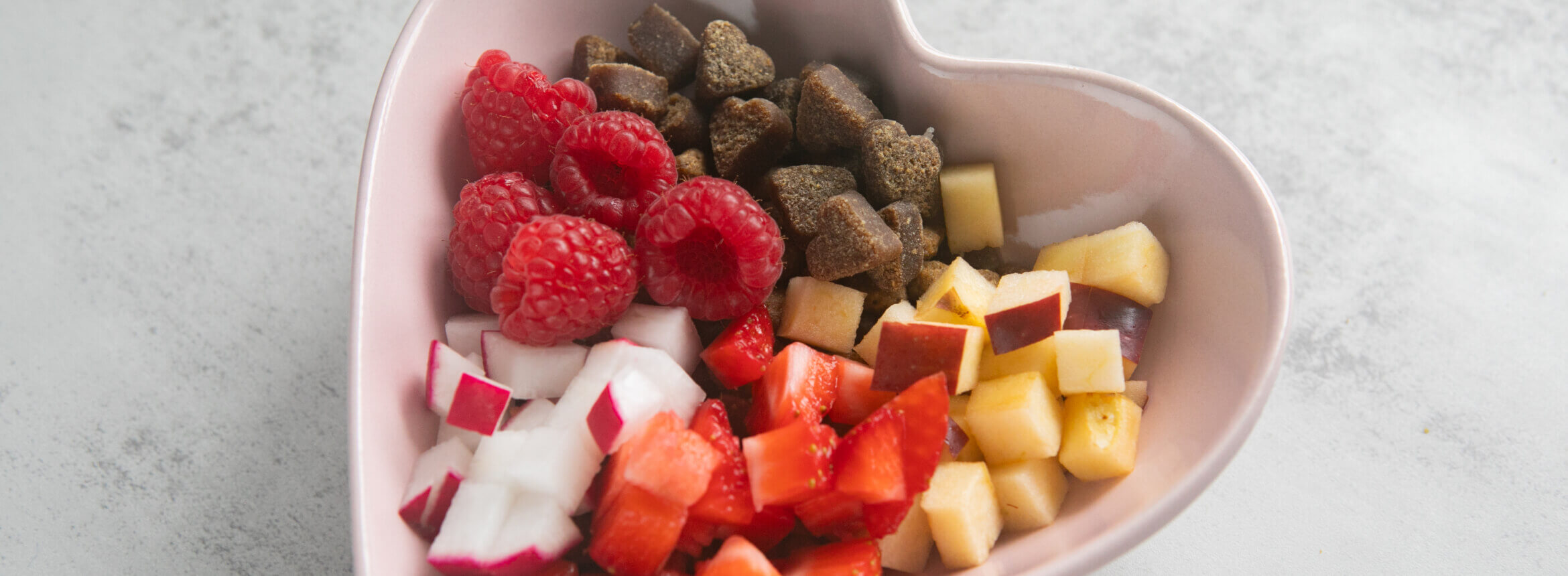 Heart-shaped bowl with raspberries, diced apple, radish, strawberries, and kibble on a gray surface.