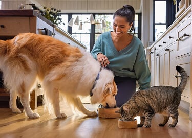 A woman kneels and smiles at her dog and cat eating from separate bowls.
