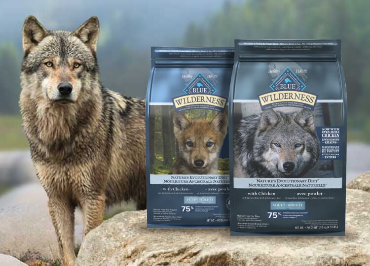 A wolf stands on rocks by a river, with Blue Wilderness dog food bags in the foreground.