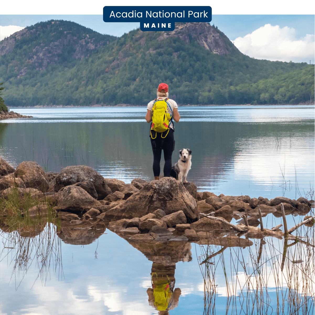 A person with a backpack and a dog are on a rocky shore, gazing out at a lake and mountains in Acadia National Park, Maine.